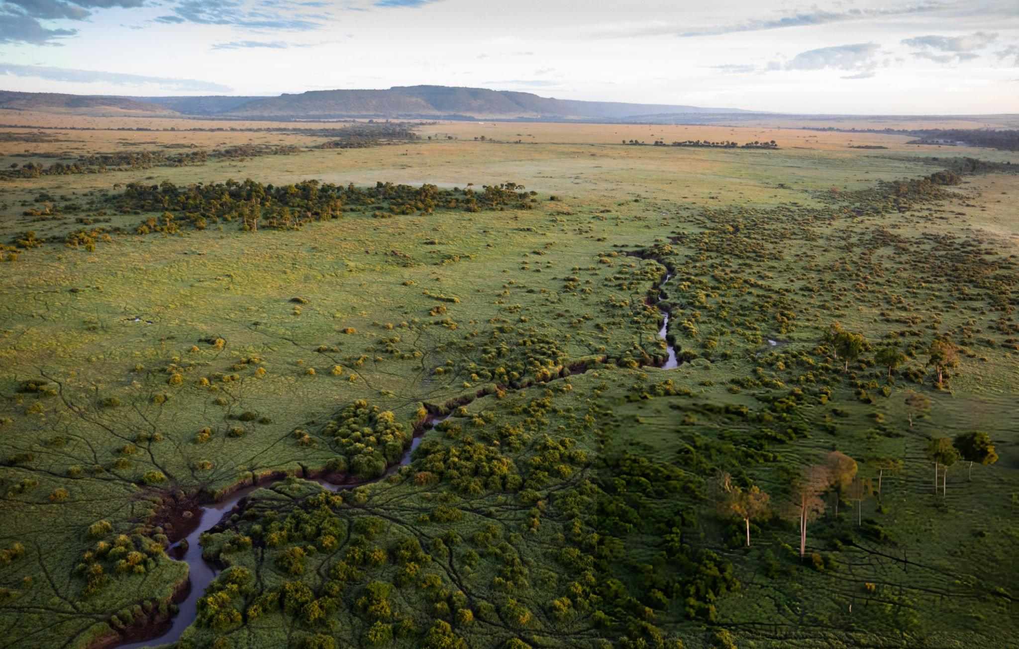 Maasai Mara Plains